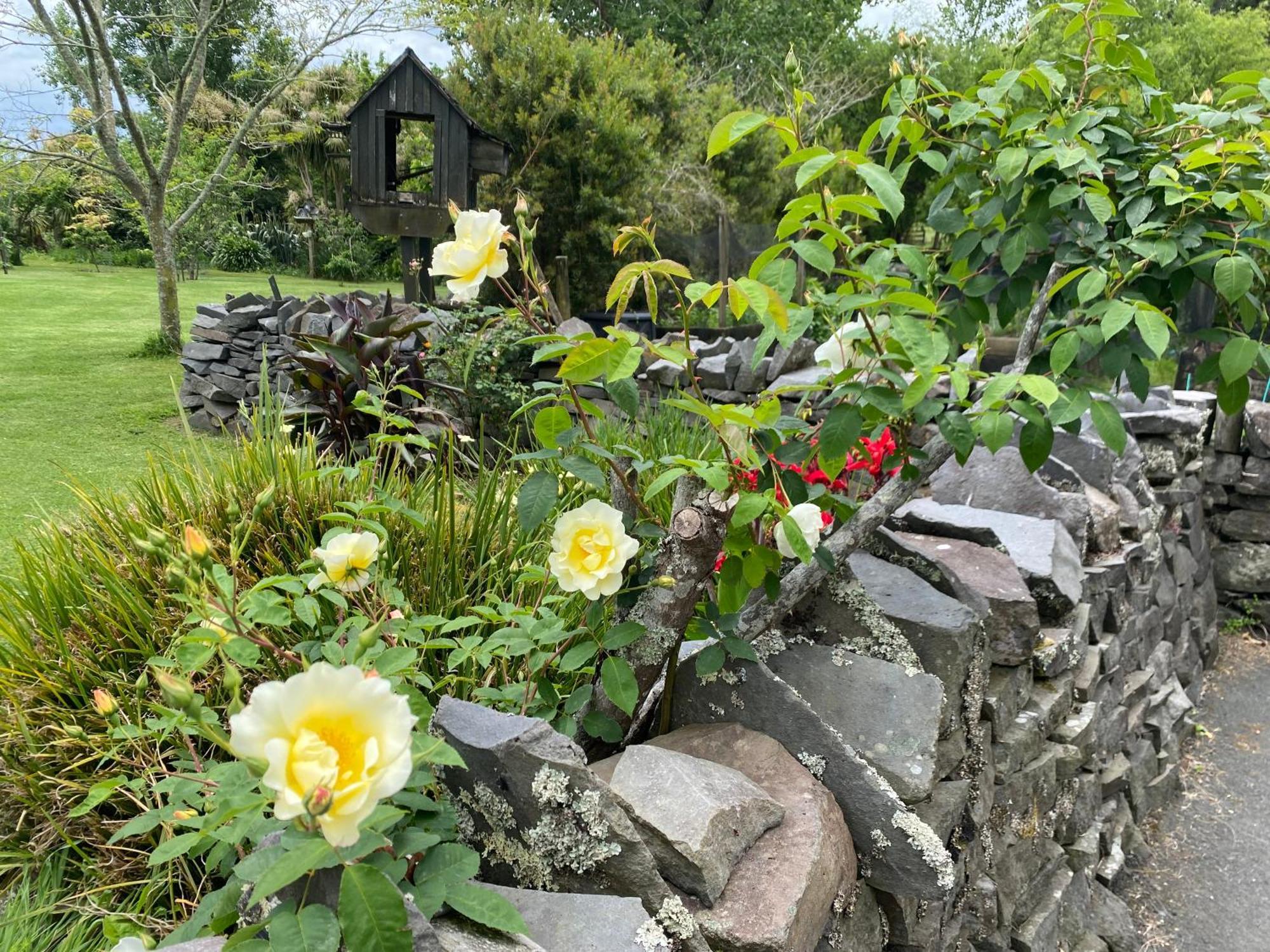 Willows Reach Lodge Kumeu Экстерьер фото