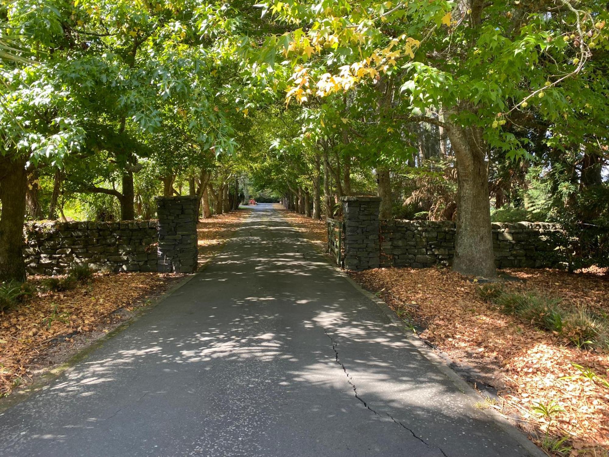 Willows Reach Lodge Kumeu Экстерьер фото