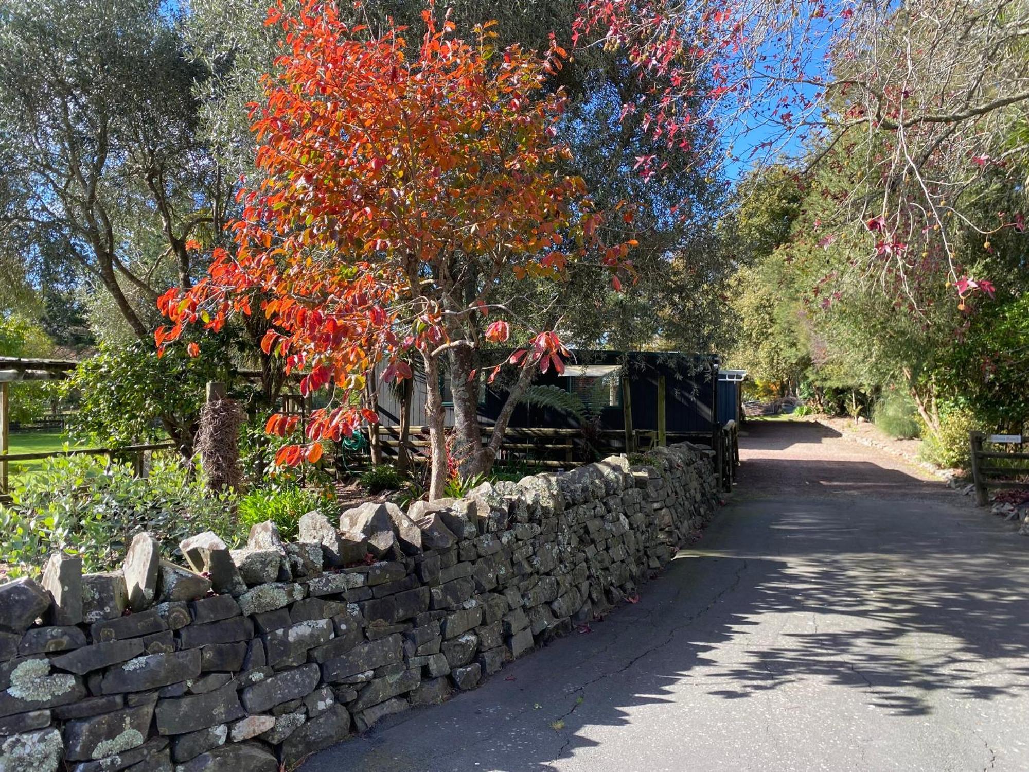 Willows Reach Lodge Kumeu Экстерьер фото